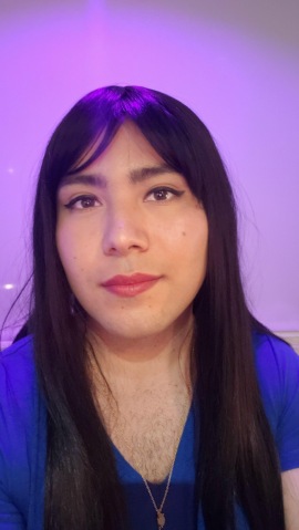 Seattle Washington Trans Model